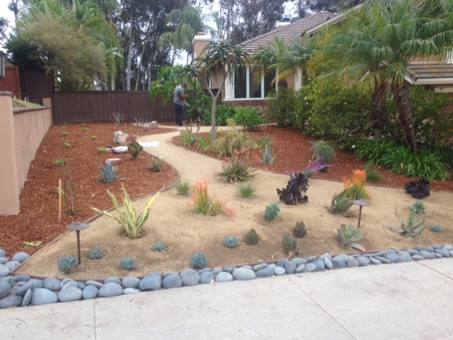 Drought-tolerant front yard by Arcadian Landscape, an Echo Local client serving San Diego County