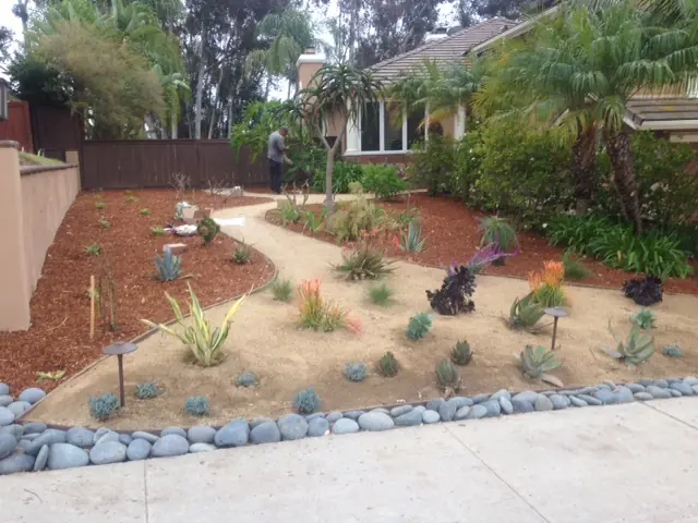 Drought-tolerant front yard by Arcadian Landscape, an Echo Local client serving San Diego County